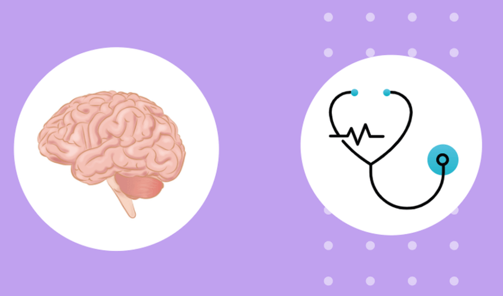 Venous Sinuses of Brain