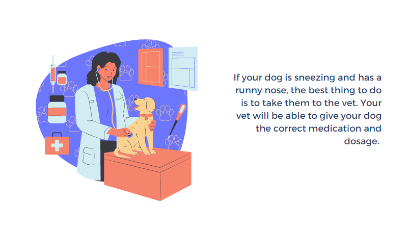 why is my dog sneezing so much