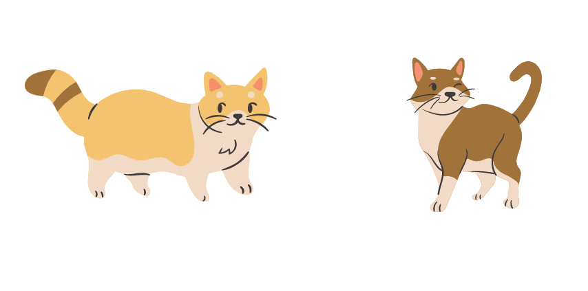 cat sneezing and coughing