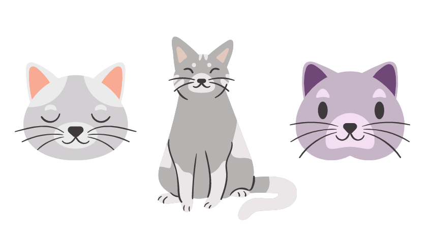 cat sneezing and coughing