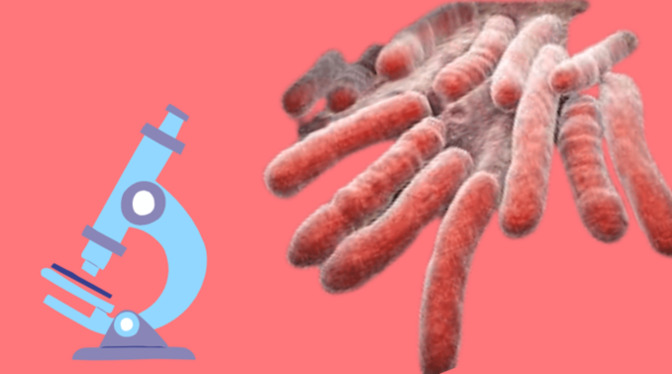 treatment for latent tuberculosis