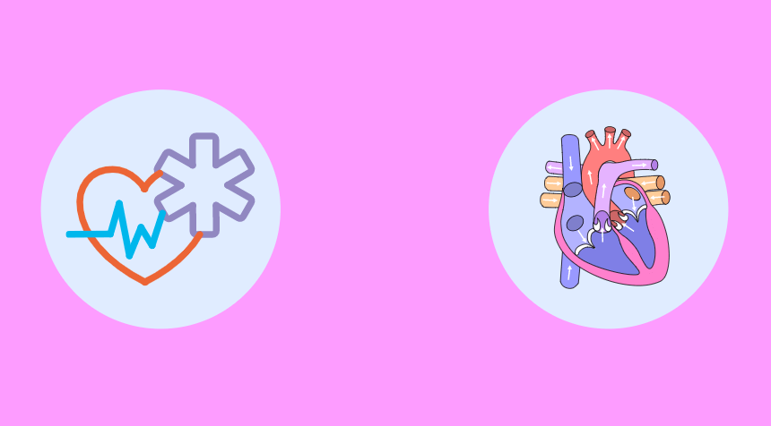 what is coronary sinus