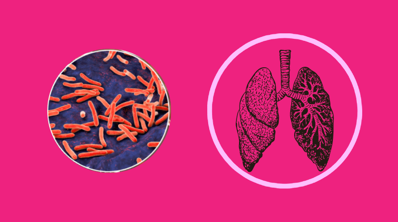 what is the 2 step tb test