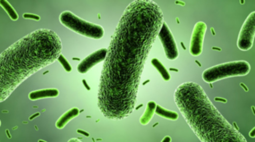 what is the 2 step tb test