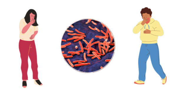 what is the 2 step tb test