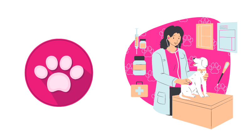 addison's disease in dogs