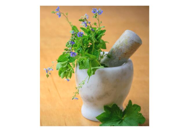 ayurvedic medicine for allergy sneezing
