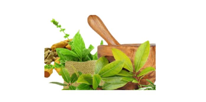 ayurvedic medicine for allergy sneezing