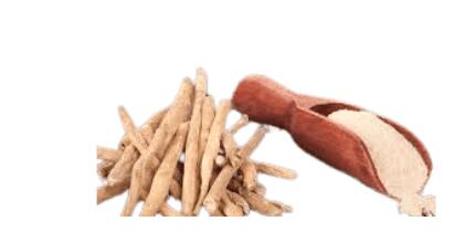 ayurvedic medicine for allergy sneezing