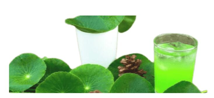 ayurvedic medicine for allergy sneezing