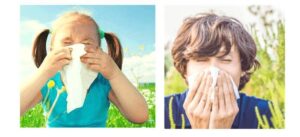 grass pollen allergy foods to avoid