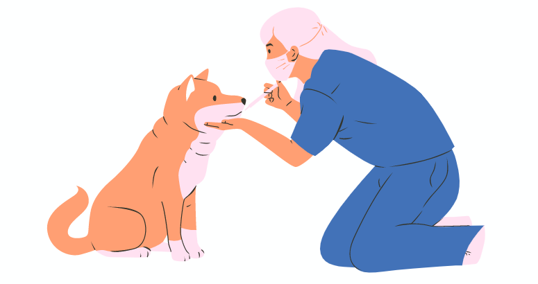 staph skin infection in dogs