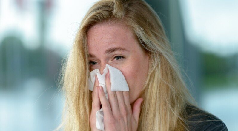 hay fever