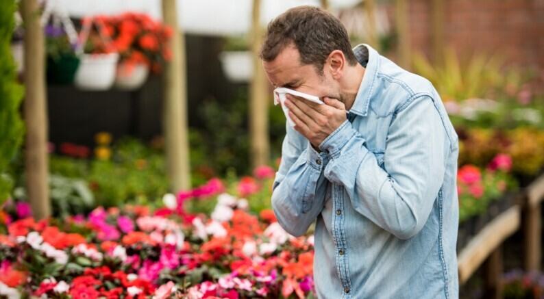 hay fever