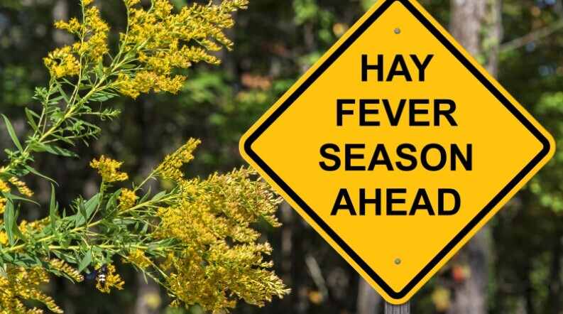 hay fever