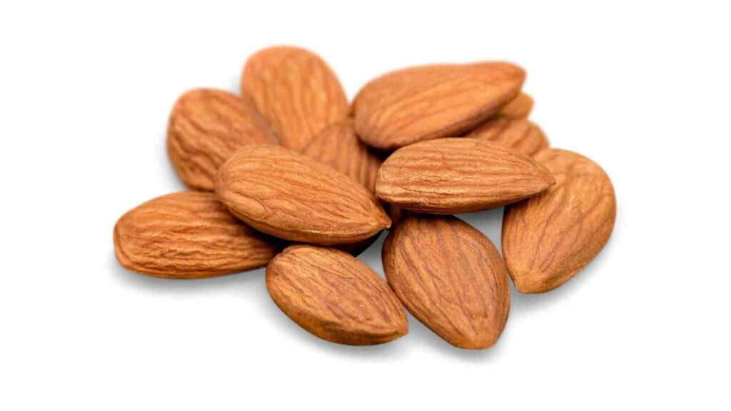 Beech Nuts
