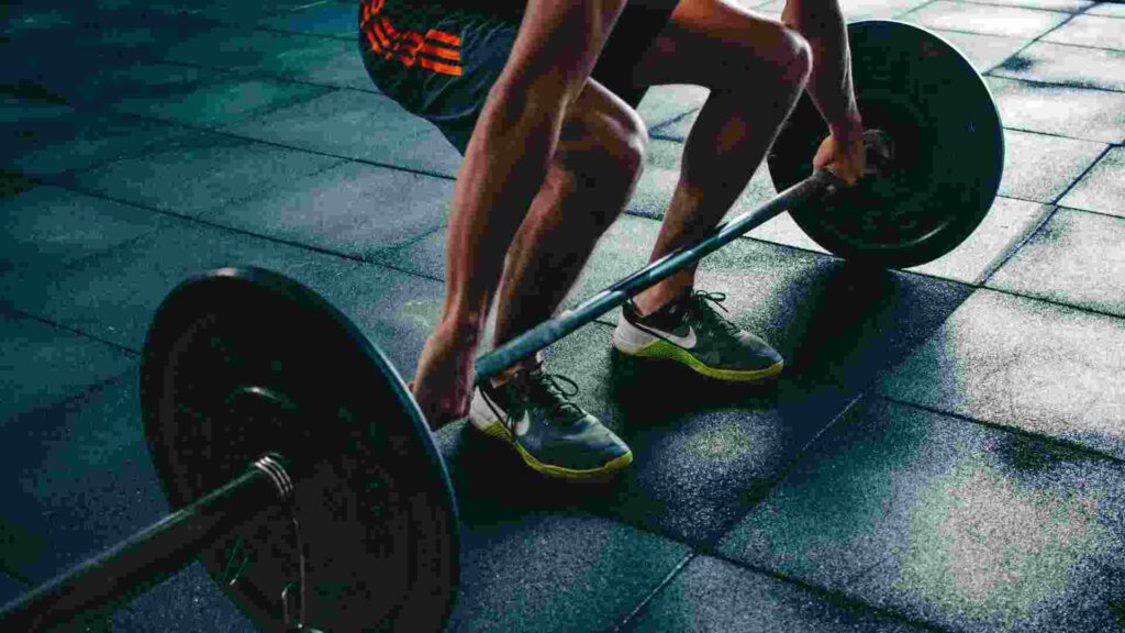 fitness equipment