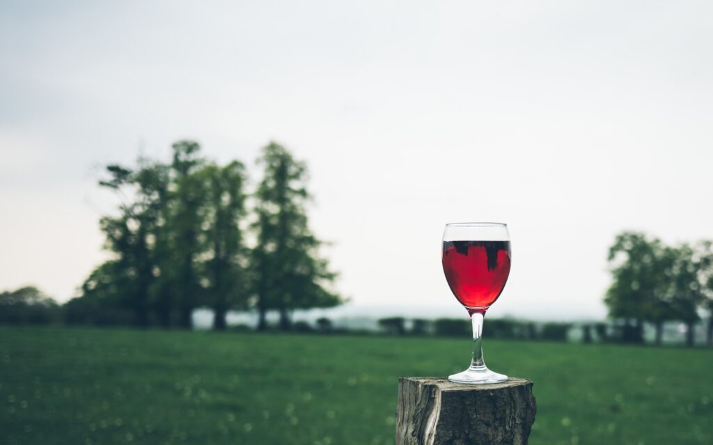Which of the following has primary responsibility for eliminating alcohol from the bloodstream?